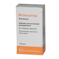 Фликсотид 50мкг/доза 120доз аэр.д/инг. №1 ингалятор доз. (GLAXOSMITHKLINE PHARMACEUTICALS S.A.)