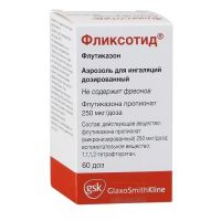 Фликсотид 250мкг/доза 60доз аэр.д/инг. №1 ингалятор доз. (GLAXOSMITHKLINE PHARMACEUTICALS S.A.)